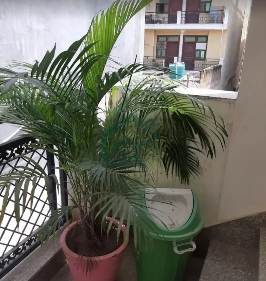 NK PG in Ghitorni, Delhi — property photo 5