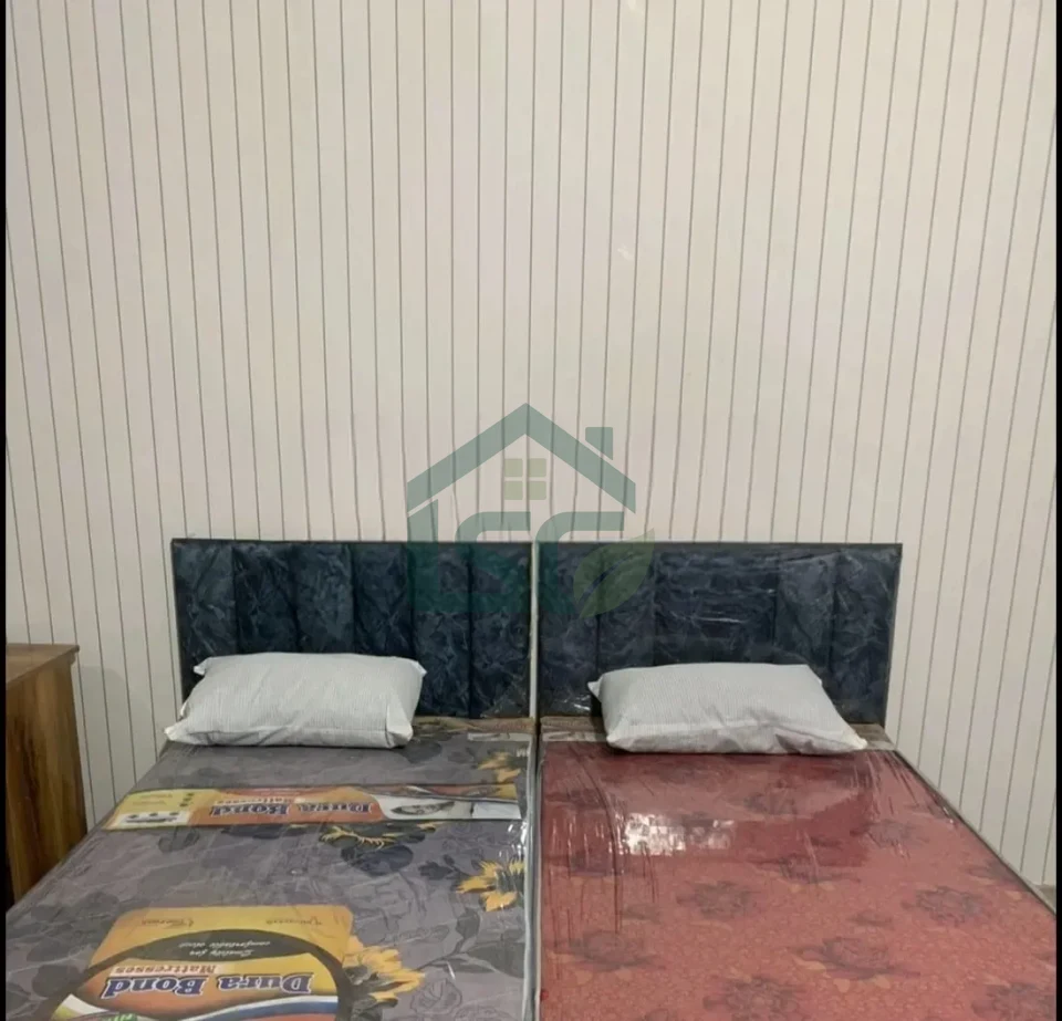 A K PG in Sector 51, Noida — property photo 4