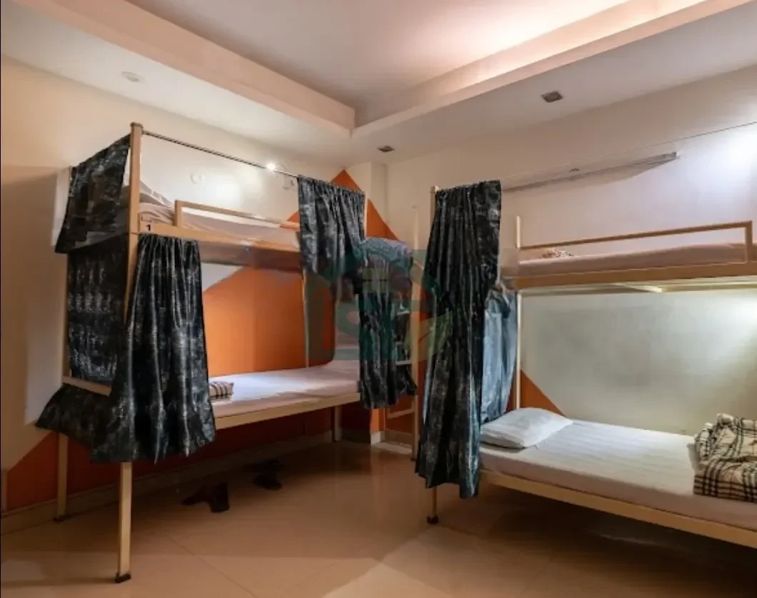 amigosindia in Chhatarpur, Delhi — property photo 1