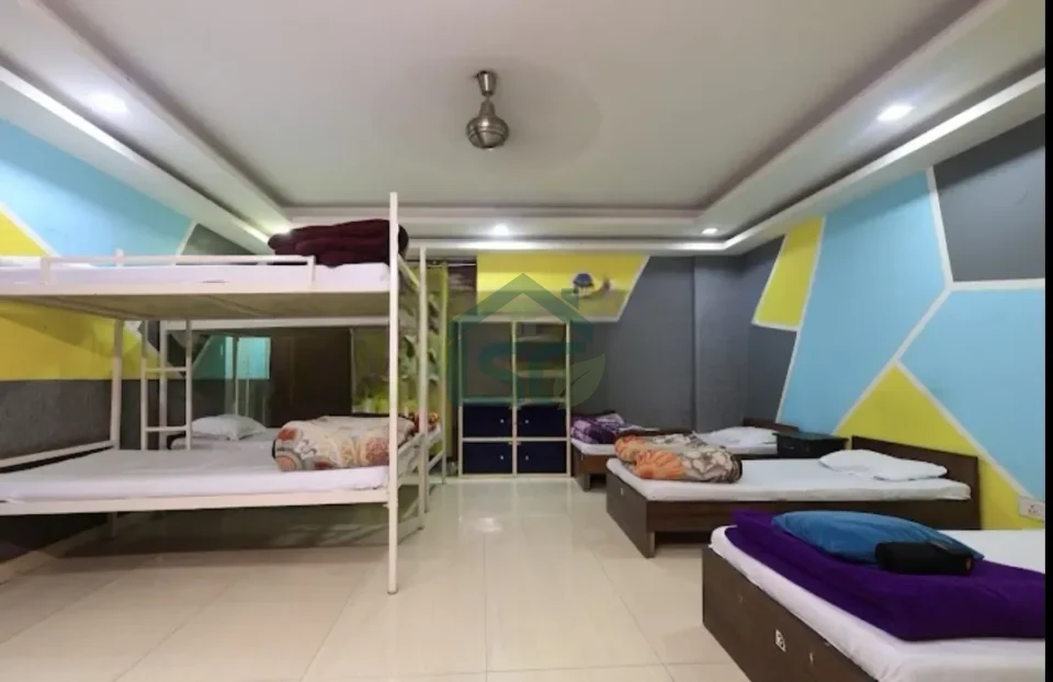 amigosindia in Chhatarpur, Delhi — property photo 2
