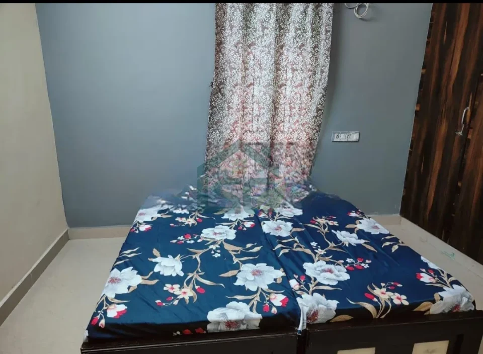 At A M Star Women'S Luxury PG And Hostel, Gachibowli, Hyderabad