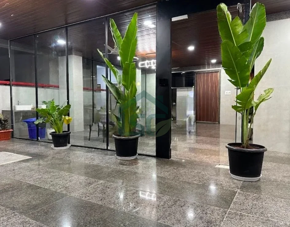 Photo 4 of Sri Venkateshwara Luminous Premium Living Space For Women, Gachibowli, Hyderabad