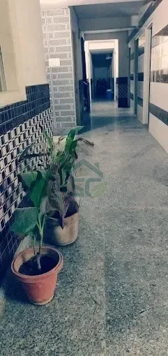 The Pandit House Boys PG in Mukherjee Nagar, Delhi — property photo 4