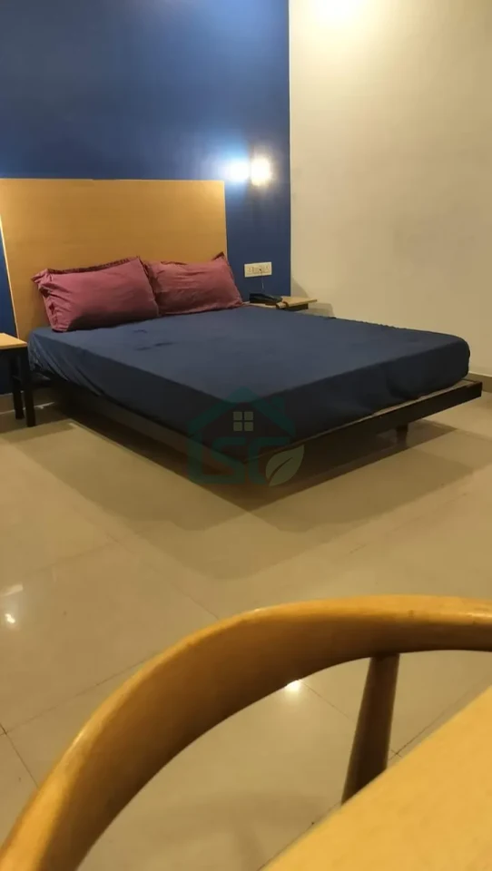 Ace Coliving in Sector 46, Gurugram — property photo 4