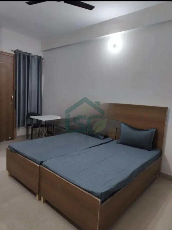 Tulip PG flora home in Sector 48, Gurugram — property photo 1