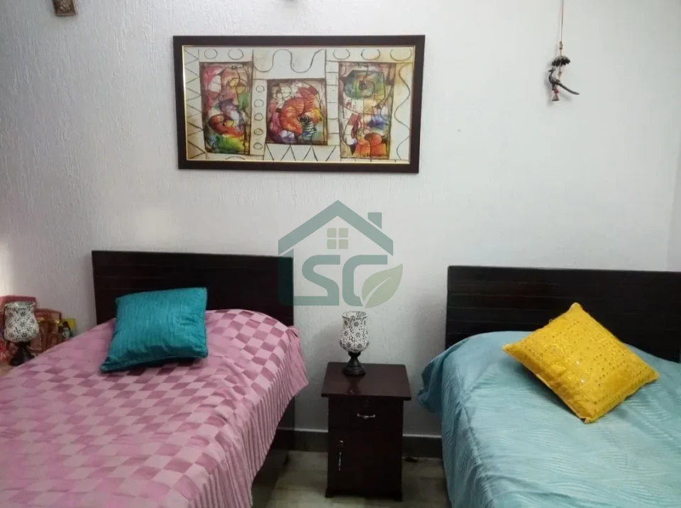 the chirping birds in Chittaranjan Park, Delhi — property photo 2