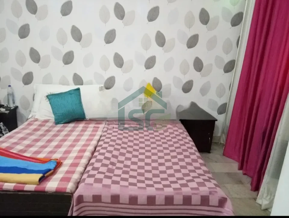 the chirping birds in Chittaranjan Park, Delhi — property photo 5