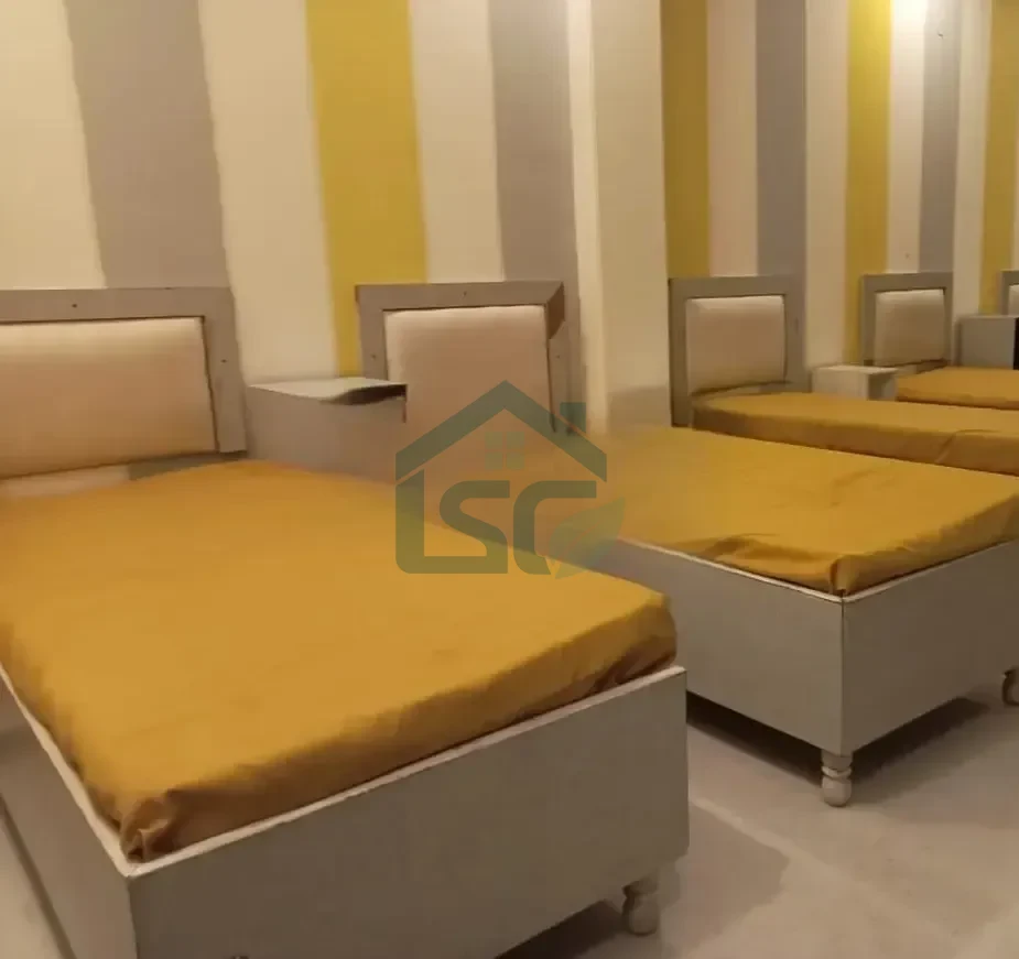 Pepper Tree In PG in Anand Niketan, Delhi — property photo 1