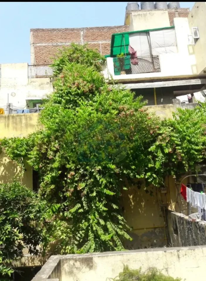 Maya PG in Kalkaji, Delhi — property photo 4