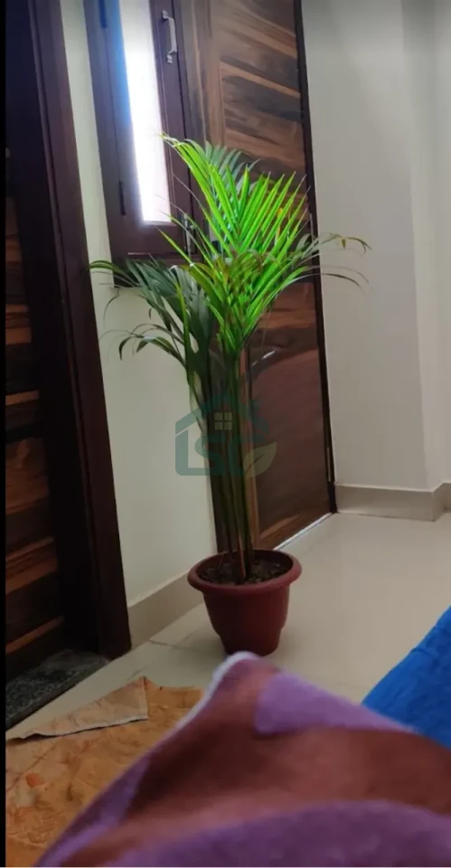 Bajaj PG for Boys in South Extension I, Delhi — property photo 1
