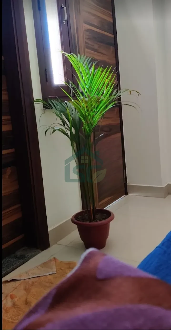Bajaj PG for Boys in South Extension I, Delhi — property photo 1