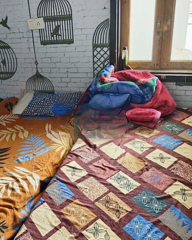 Photo 3 of Occupied House, Rishi Nagar, Hisar