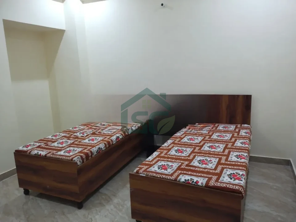 Stag on PG in Sector 66, Noida — property photo 3